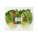 Ocado Little Gem Lettuce