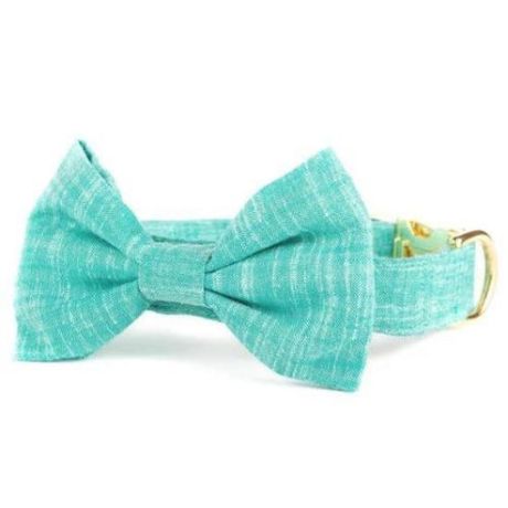Buffalo Bow Tie