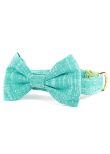 Buffalo Bow Tie
