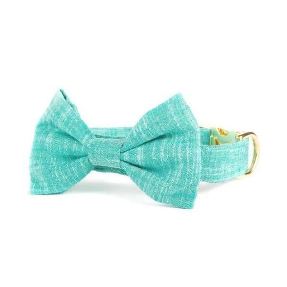 Buffalo Bow Tie